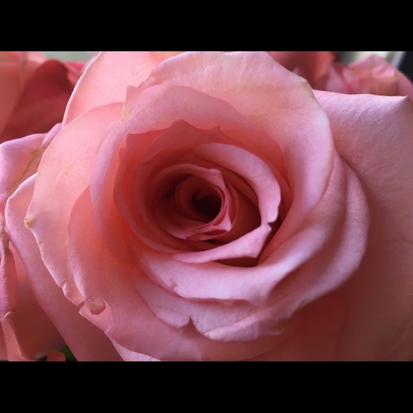 lavenderlace8